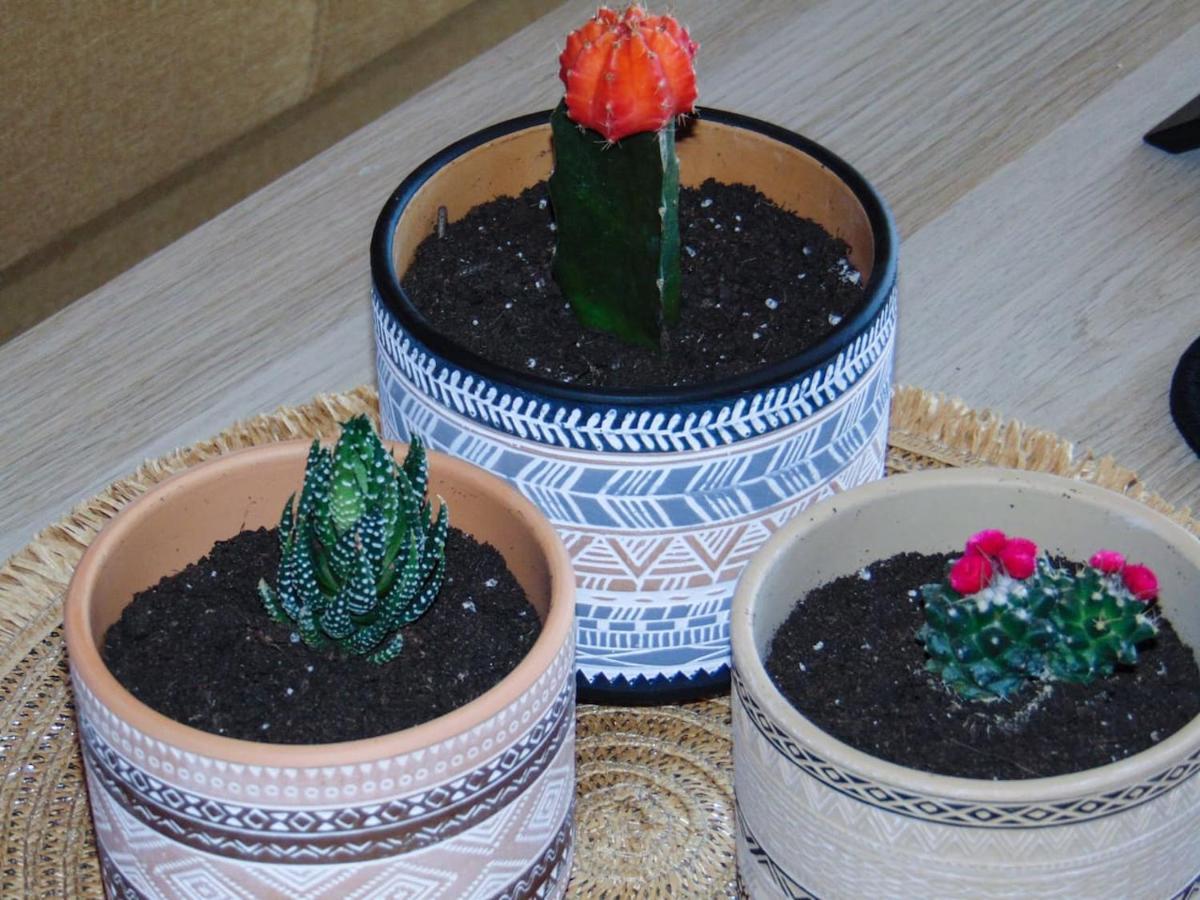 The Orange Cactus Apartment Sparta Bagian luar foto